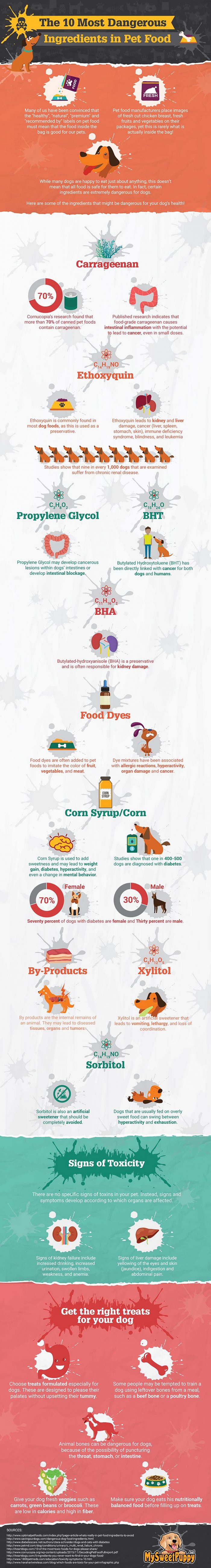 Is Your Dog’s Food Making Him Sick? Greenshield Organic