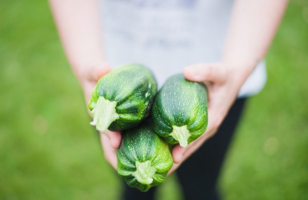 how to start a veggie garden