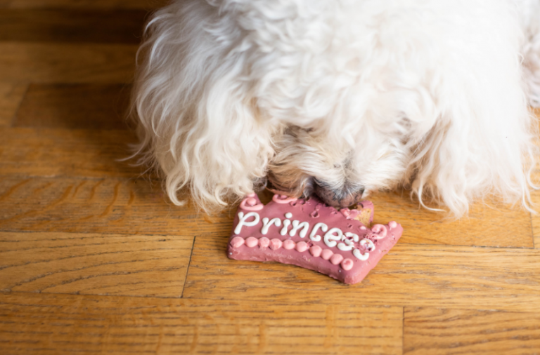 Organic Iced Dog Cookies Greenshield Organic